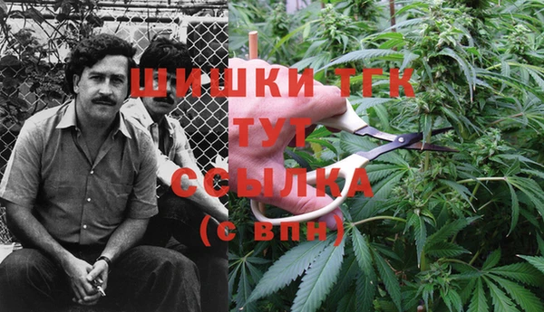 a pvp Каменногорск