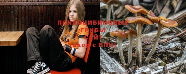 кристаллы Каменка