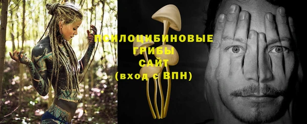 a pvp Каменногорск