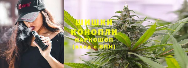 a pvp Каменногорск