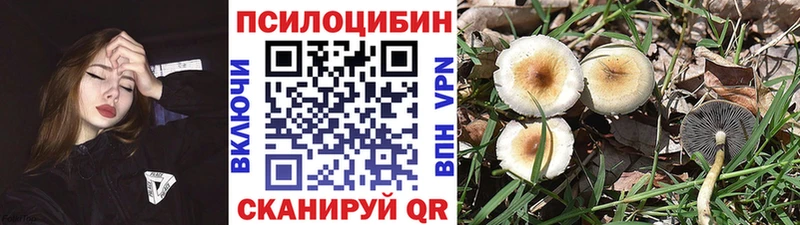 Галлюциногенные грибы Psilocybine cubensis Лагань